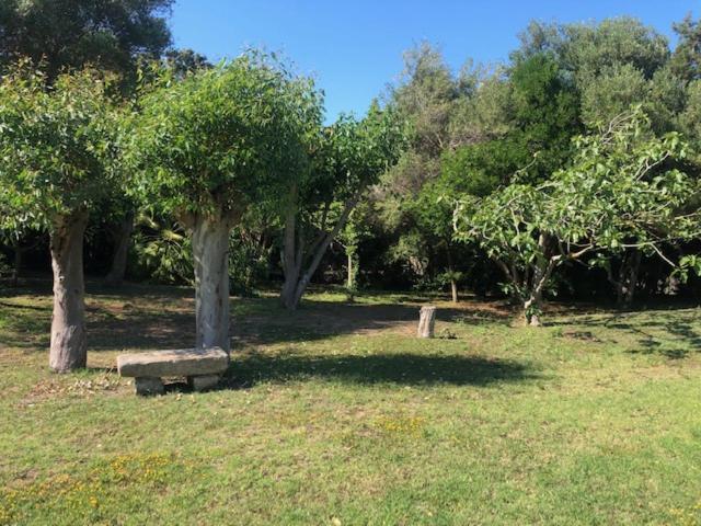 斯廷蒂诺Civico34 House 3 - I Giardini Dell'Ancora别墅 外观 照片